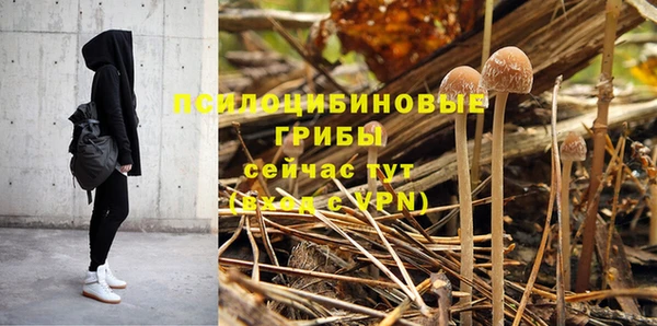 амф Абдулино