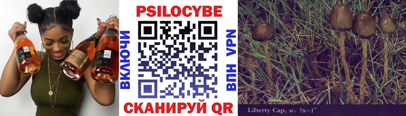 где продают наркотики  Усть-Катав  Псилоцибиновые грибы Psilocybe 