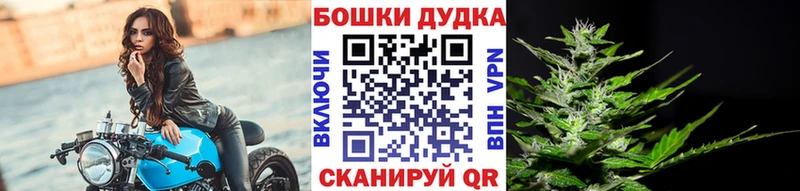 площадка формула  сколько стоит  Усть-Катав  Бошки Шишки OG Kush 
